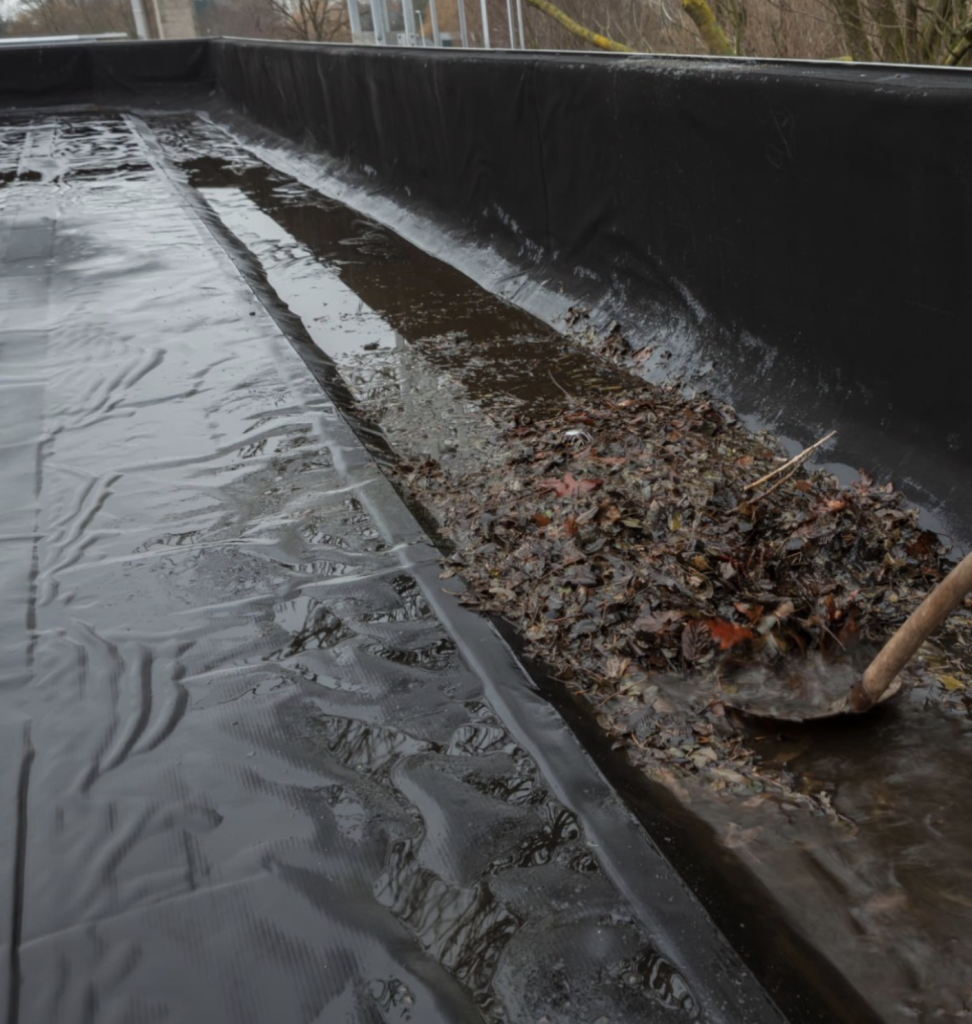 jng services leaves buildup on a commercial roof 