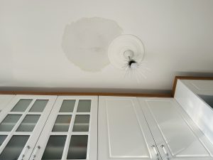 jng services A Water Leak, close up of a stain on the Ceiling